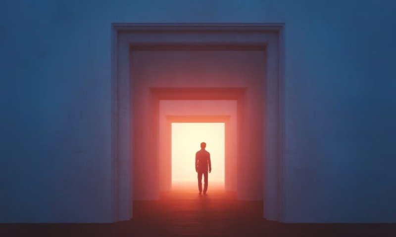 舟曲县系统开发